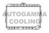 AUTOGAMMA 100594 Radiator, engine cooling